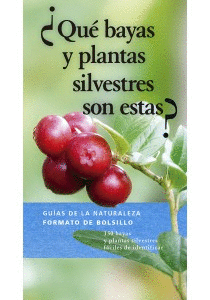 QUE BAYAS Y PLANTAS SILVESTRES SON ESTAS?