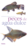 PECES DE AGUA DULCE (TIKAL)