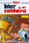 ASTERIX Y EL CALDERO. 13