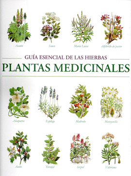 PLANTAS MEDICINALES