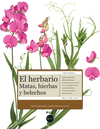 HERBARIO: MATAS, HIERBAS Y HELECHOS, EL