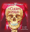 EL CUERPO HUMANO