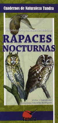 RAPACES NOCTURNAS