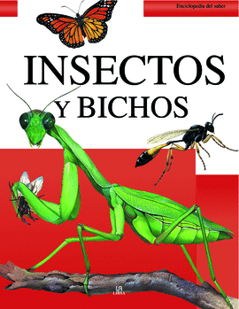 INSECTOS Y BICHOS