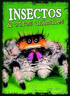 INSECTOS Y OTROS ANIMALES