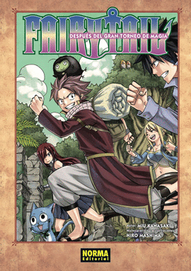 FAIRY TAIL DESPUS DEL GRAN TORNEO DE LA MAGIA (NOVELA)