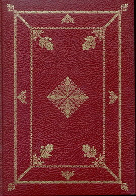 TRUJILLO TOMO VIII -RUST