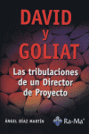 DAVID Y GOLIAT. LAS TRIBULACIONES DE UN DIRECTOR DE PROYECTOS