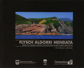 FLYSCH ALGORRI MENDATA