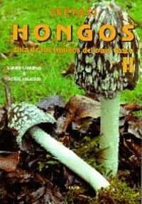 HONGOS II. GUIA HONGOS PAIS VASCO. (SETAS)