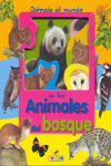 ANIMALES DEL BOSQUE -ASOMATE AL MUNDO