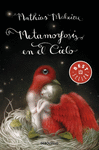 METAMORFOSIS EN EL CIELO -BEST SELLER