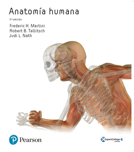 ANATOMA HUMANA