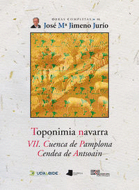 TOPONIMIA NAVARRA. VII. CUENCA DE PAMPLONA. CENDEA DE ANTSOAIN