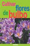CULTIVAR FLORES DE BULBO