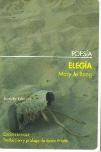 ELEGIA - POESIA