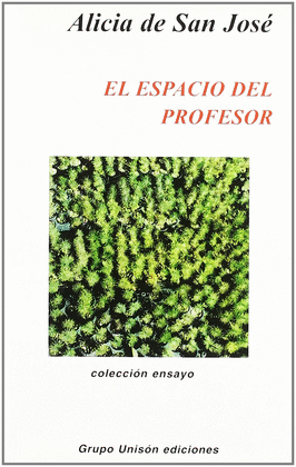 EL ESPACIO DEL PROFESOR