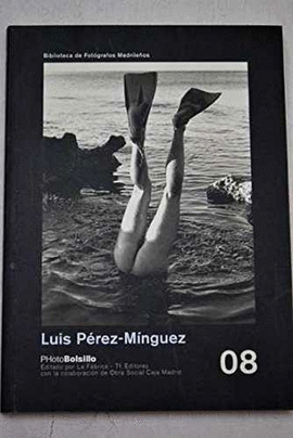 LUIS PEREZ MINGUEZ