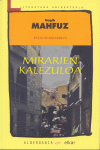 MIRARIEN KALEZULOA
