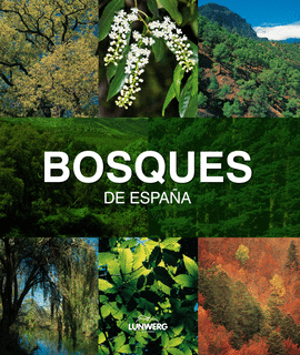 BOSQUES DE ESPAA. LUNWERG MEDIUM