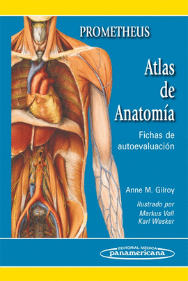 ATLAS DE ANATOMA. FICHAS DE AUTOEVALUACIN