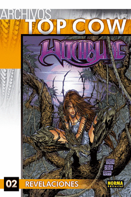 ARCHIVOS TOP COW WITCHBLADE 2