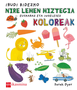 IRUDI BIDEZKO NIRE LEHEN HIZTEGIA: KOLOREAK