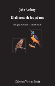 EL ALBOROTO DE LOS PAJAROS