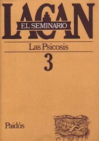SEMINARIO 3 - LA PSICOSIS